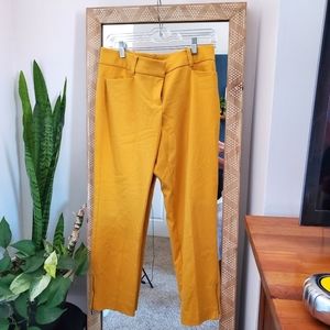 New York and Company 7th Avenue Capris